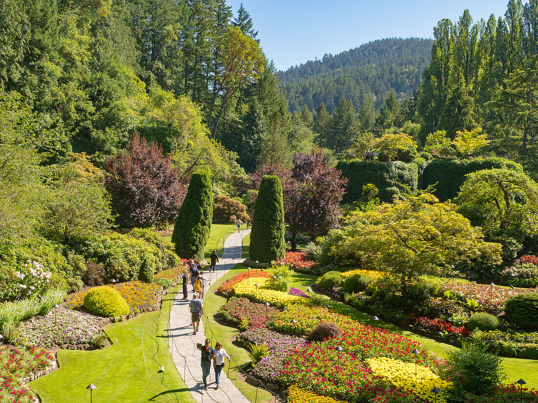 Der versunkene Garten in Victorias Butchart Gardens, angelegt in einem ehemaligen Kalksteinbruch, ab 1904, Victoria, Vancouver Island, British Columbia, Kanada, Nordamerika