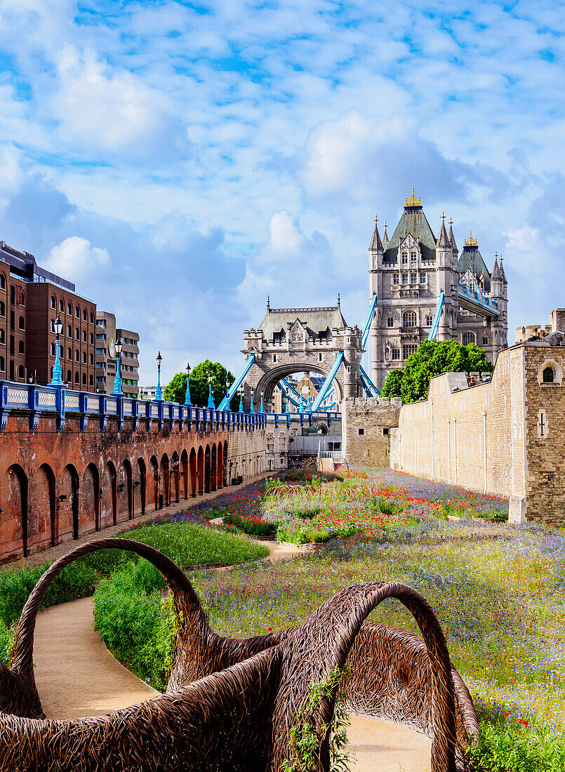 Blick über die Tower Bridge Piazza auf die Tower Bridge, London, England, Vereinigtes Königreich, Europa