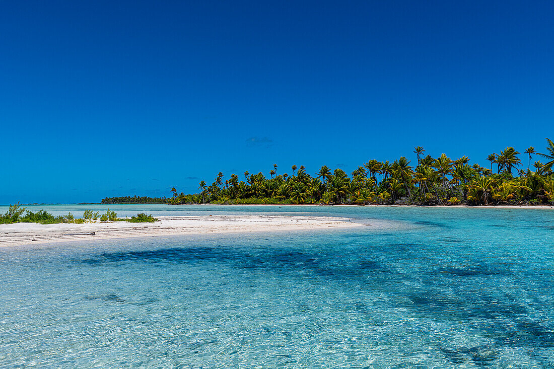 Blaue Lagune, Fakarava, Tuamotu-Inselgruppe, Französisch-Polynesien, Südpazifik, Pazifik