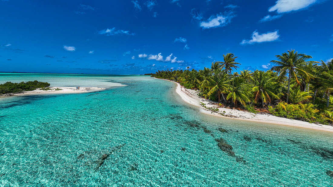 Palmen an der blauen Lagune, Fakarava, Tuamotu-Archipel, Französisch-Polynesien, Südpazifik, Pazifik
