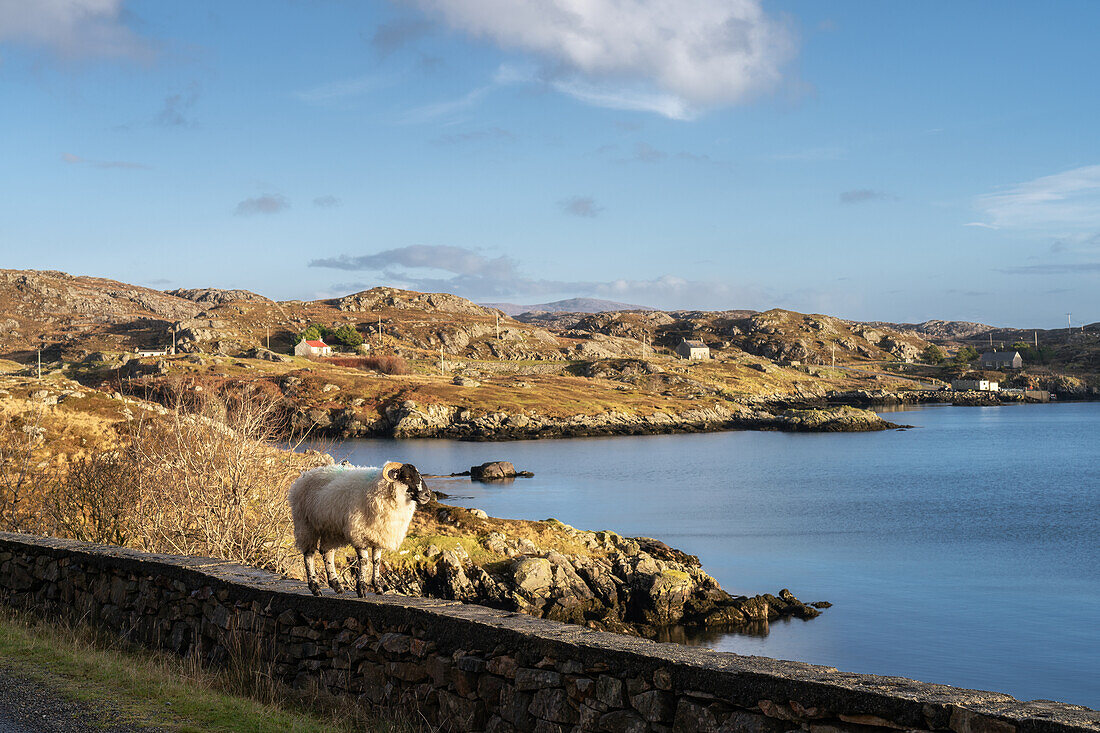 Bagh Steinigidh Beach bei Sonnenaufgang, Isle of Harris, Äußere Hebriden, Schottland, Vereinigtes Königreich, Europa