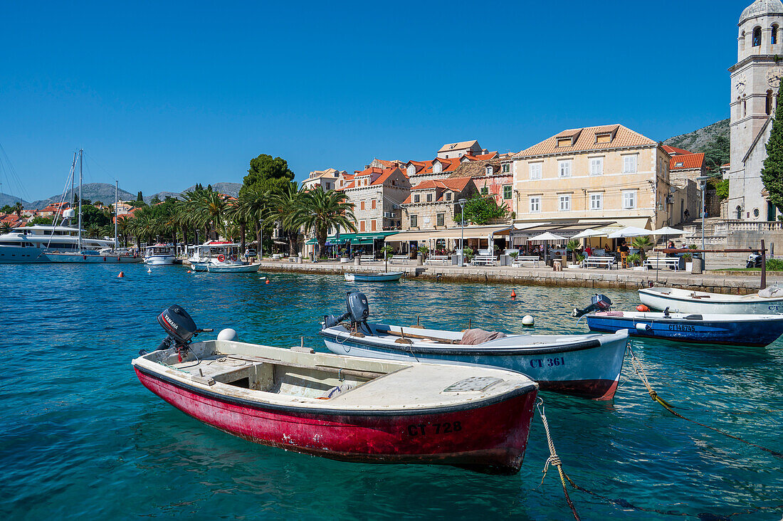 Der Blick auf die Küste von Cavtat an der Adria, Cavtat, Dubrovnik Riviera, Kroatien, Europa