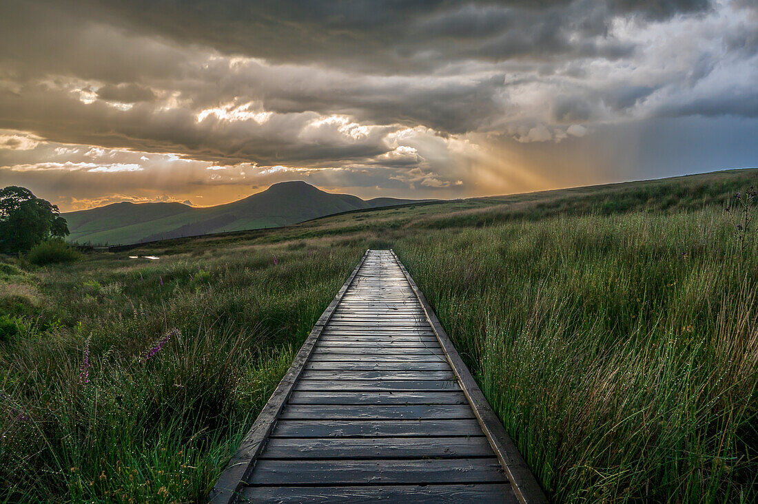 Wooden boardwalk in The Peak District with dramatic sky, Wildboarclough, Cheshire, England, United Kingdom, Europe