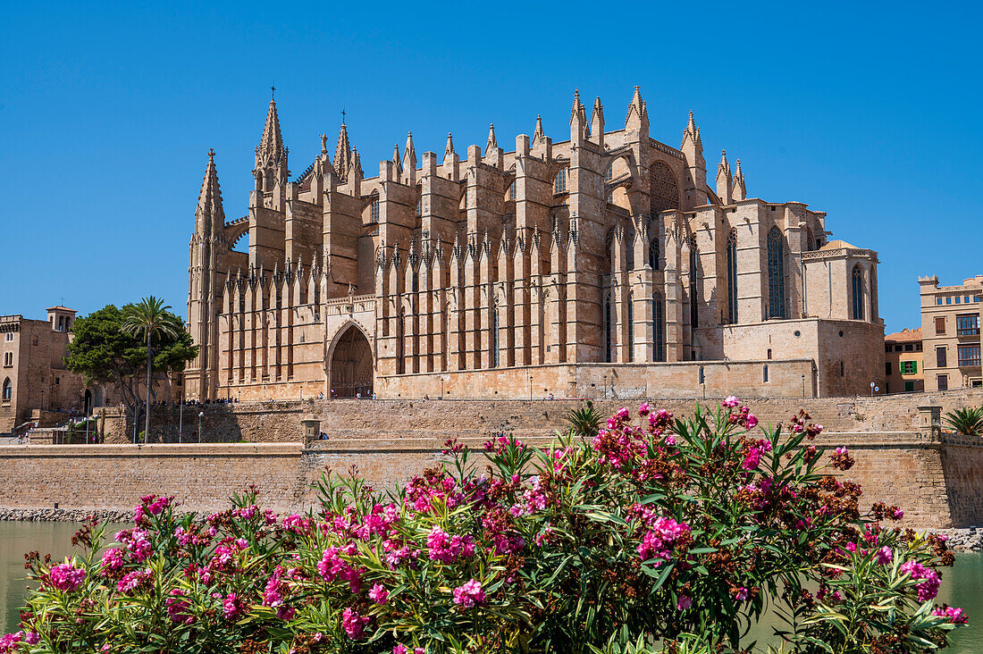 Kathedrale von Palma (La Seu), Palma de Mallorca, Mallorca (Mallorca), Balearische Inseln, Spanien, Mittelmeer, Europa