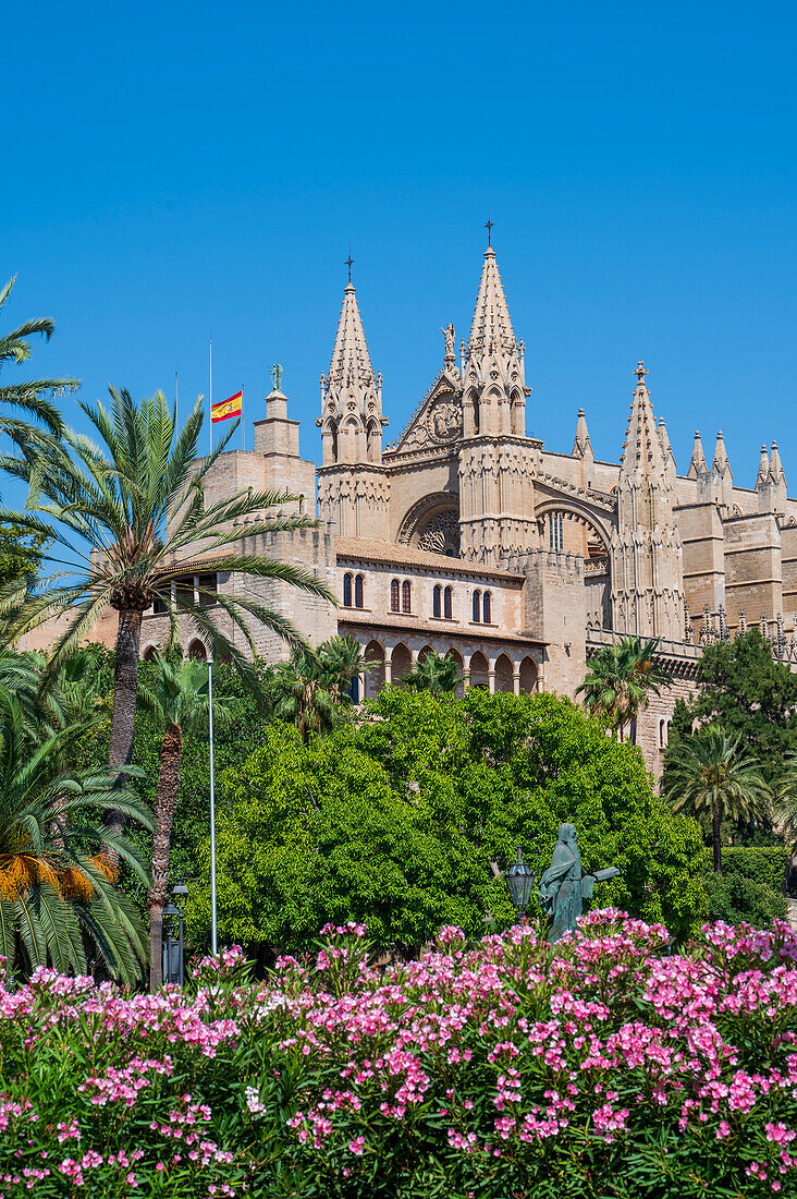 Palma Cathedral with red flower display, Palma de Mallorca, Mallorca (Majorca), Balearic Islands, Spain, Mediterranean, Europe