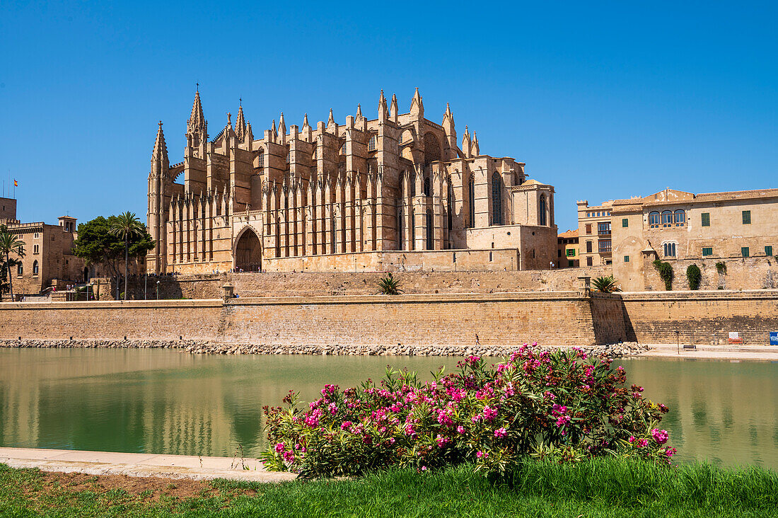 Palma Cathedral (La Seu), Palma de Mallorca, Mallorca (Majorca), Balearic Islands, Spain, Mediterranean, Europe