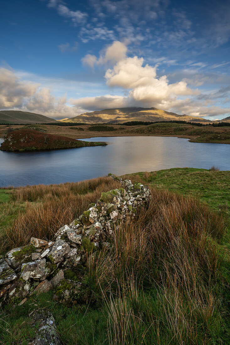 View across the lake to Mount Snowdon at Llyn Y Dywarchen in the Snowdonia National Park, Wales, United Kingdom, Europe