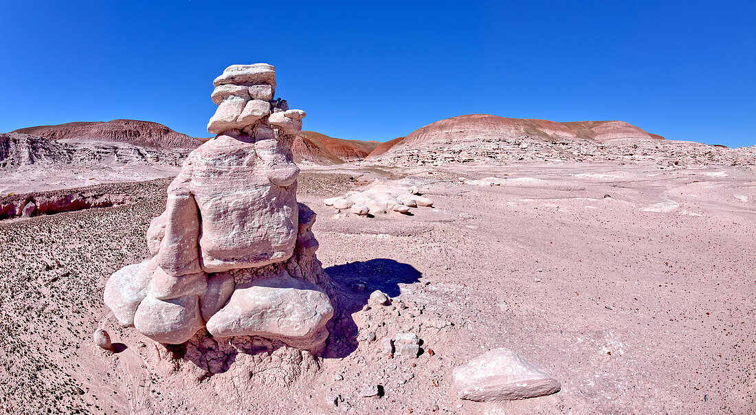 Various hoodoos in Angels Garden at Petrified Forest National Park, Arizona, United States of America, North America