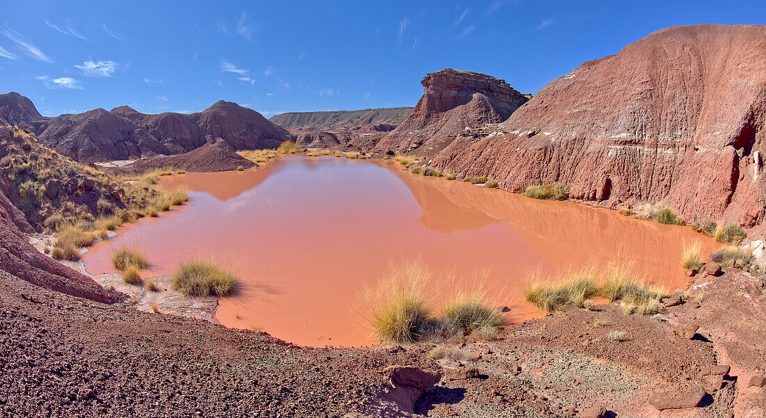 A marshy watering hole called Tiponi Flats, Petrified Forest National Park, Arizona, United States of America, North America