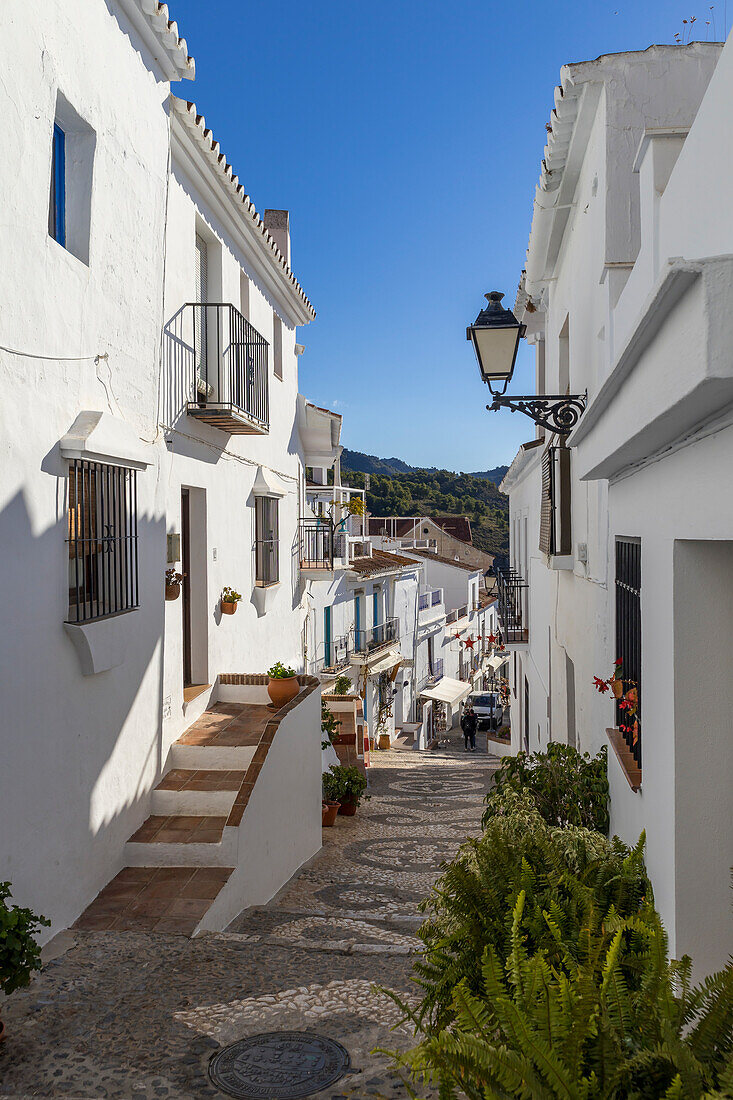 Enge Straße mit weiß getünchten andalusischen Häusern in der Altstadt, Frigiliana, Provinz Málaga, Andalusien, Spanien, Europa