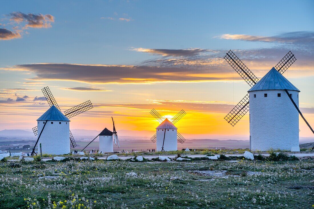 Windmühlen, Campo de Criptana, Ciudad Real, Kastilien-La Mancha, Spanien, Europa