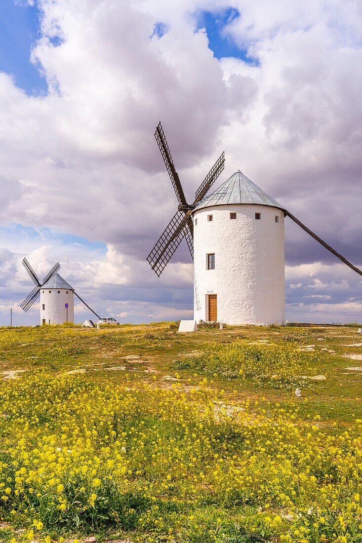 Windmühlen, Campo de Criptana, Ciudad Real, Kastilien-La Mancha, Spanien, Europa