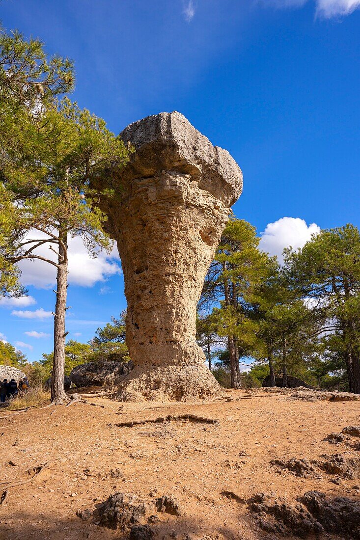 Die Ciudad Encantada, Cuenca, Kastilien und La Mancha, Spanien, Europa