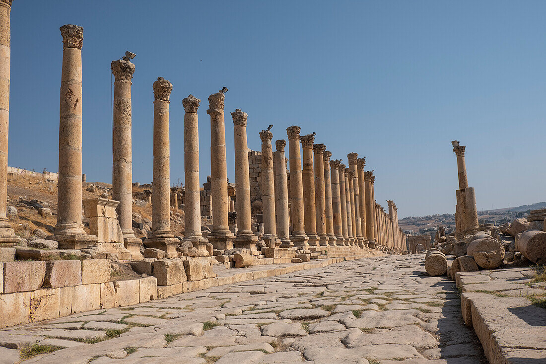 The Roman ruins with a long colonnade road, Jerash, Jordan, Middle East