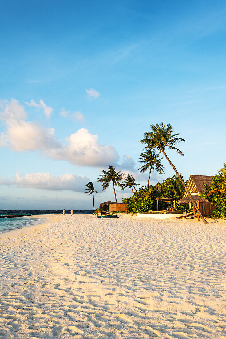 A couple walking in the morning sunshine on a tropical beach, Baa Atoll, Maldives, Indian Ocean, Asia