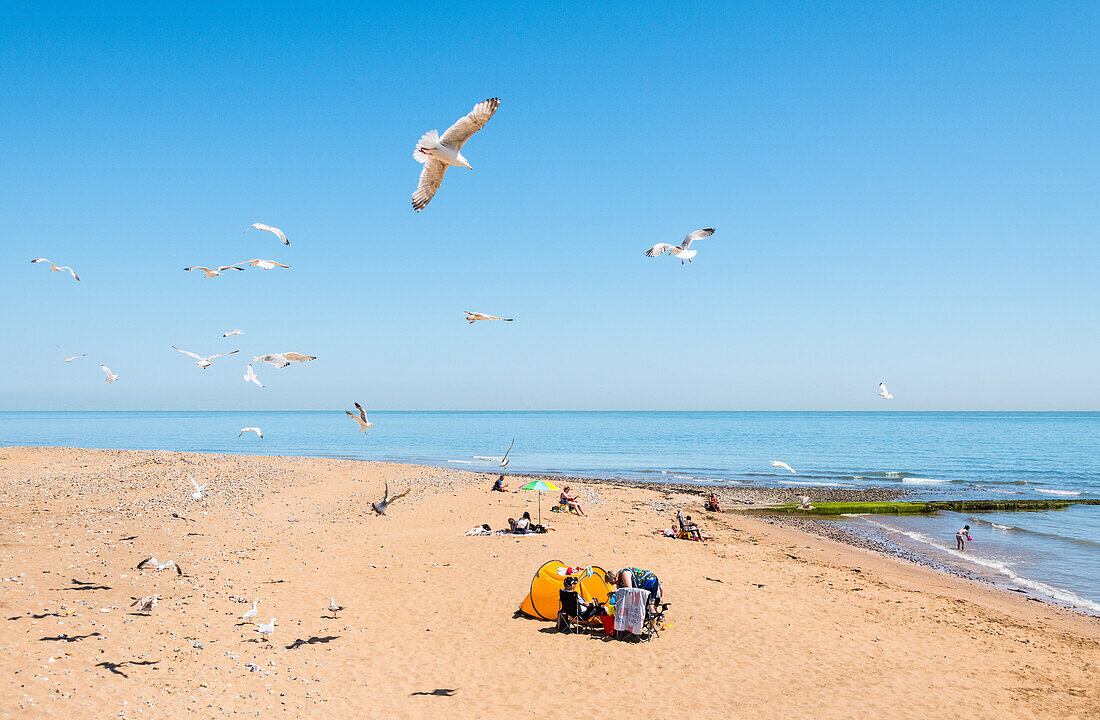 Seagulls watching people enjoying sunshine on a beach near Ramsgate, along the Viking Coastal Trail to Margate, Kent, England, United Kingdom, Europe