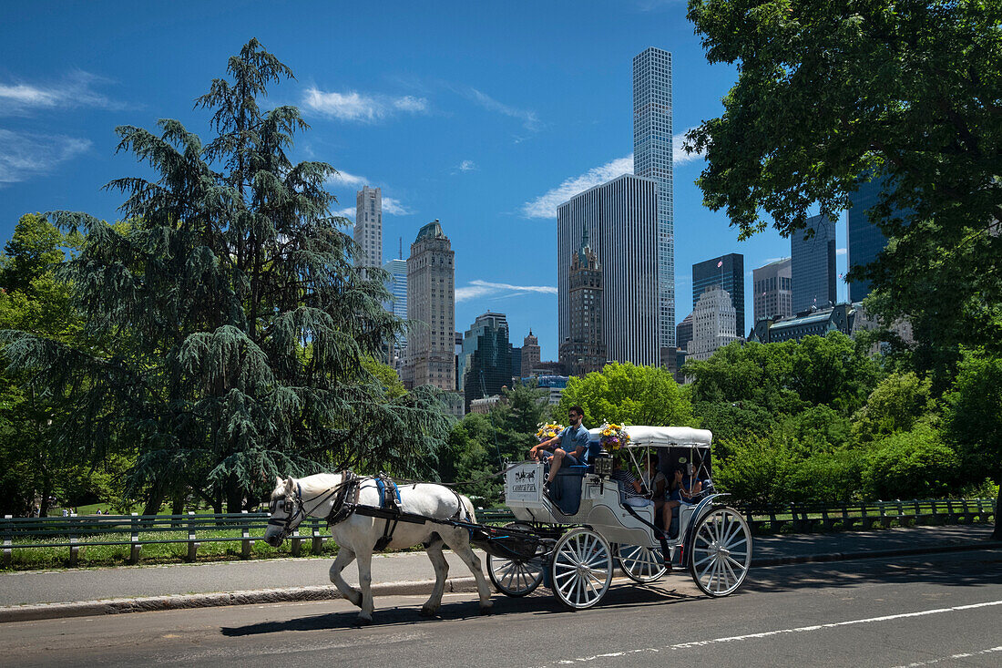 Pferdekutschenfahrt durch den Central Park mit der Skyline von New York City im Hintergrund, Central Park, Manhattan, New York, Vereinigte Staaten von Amerika, Nordamerika