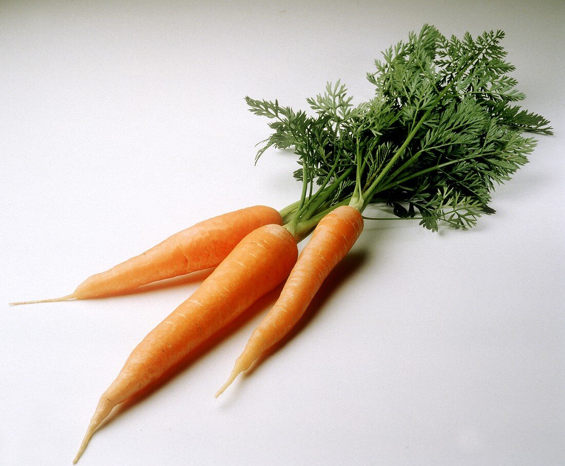 Three Fresh Carrots
