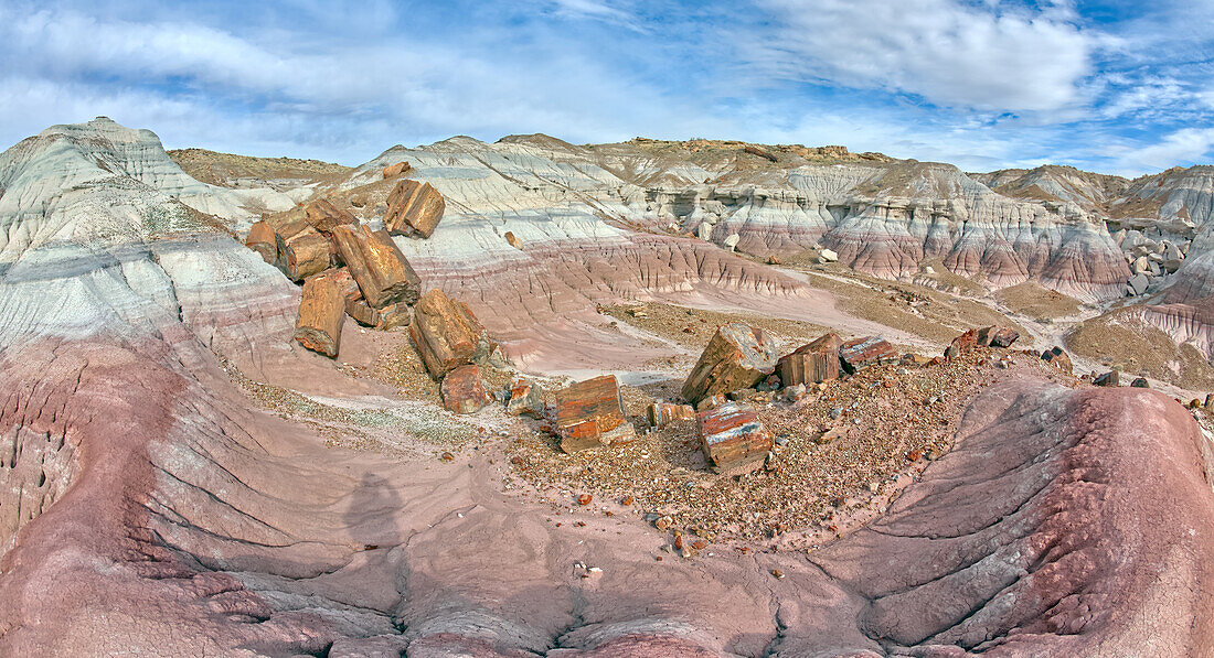 Giant pieces of broken petrified wood in Jasper Forest at Petrified Forest National Park, Arizona, United States of America, North America