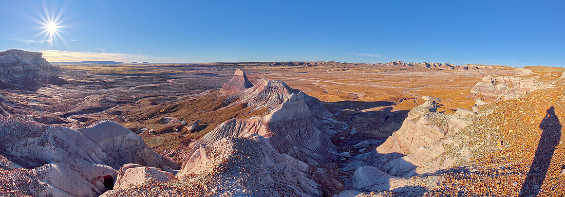 Blick auf die Blue Forest-Ebenen vom unteren Teil der Blue Mesa im Petrified Forest National Park, Arizona, Vereinigte Staaten von Amerika, Nordamerika