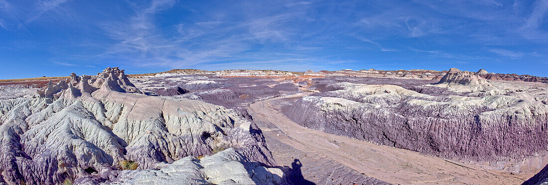 The purple entrance of the Red Basin at Petrified Forest National Park, Arizona, United States of America, North America