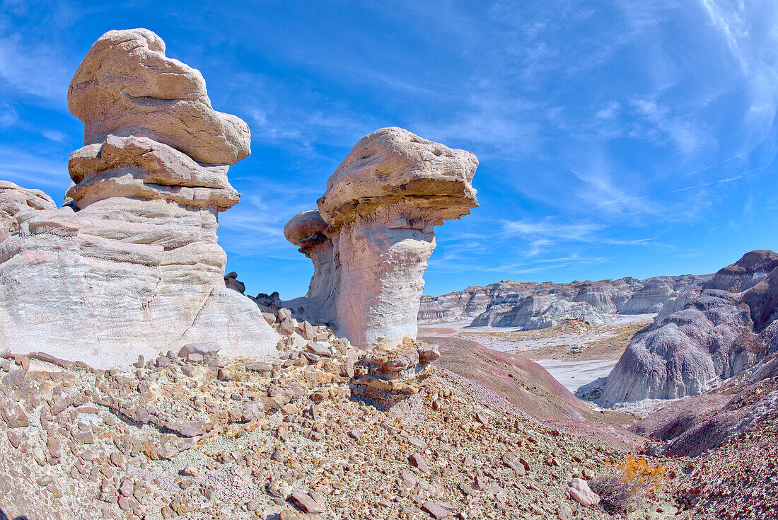 Ein Paar von Hoodoo-Formationen in der Nähe des Red Basin, genannt Red Basin Gnomes, Petrified Forest National Park, Arizona, Vereinigte Staaten von Amerika, Nordamerika