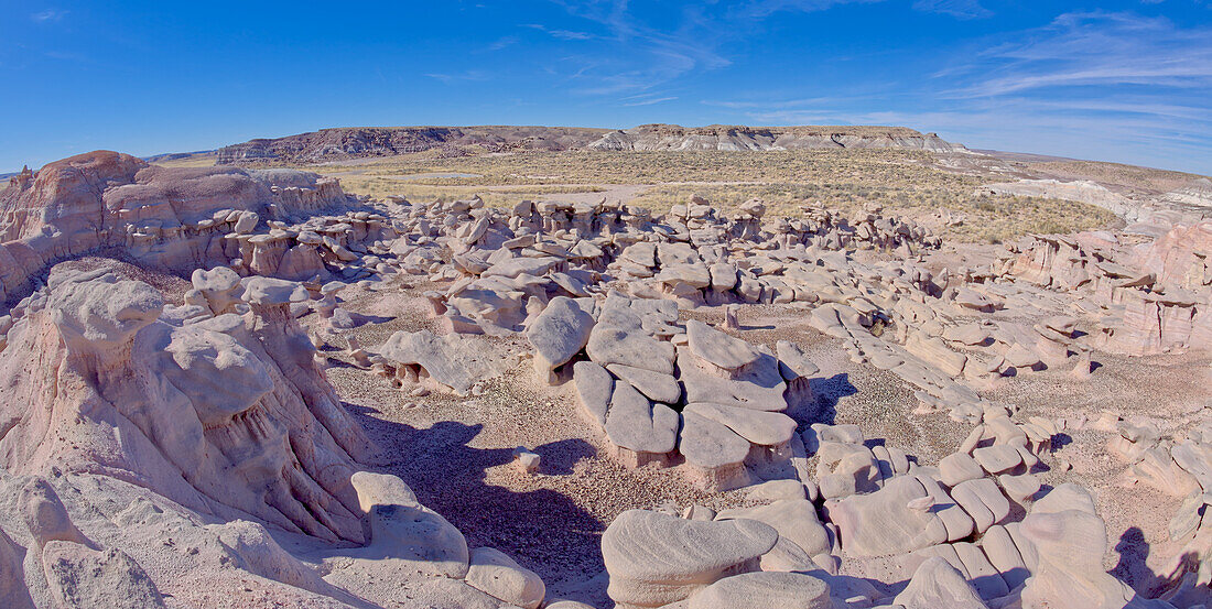 A field of hoodoos along the Red Basin Trail called Pharaoh's Garden, Petrified Forest National Park, Arizona, United States of America, North America