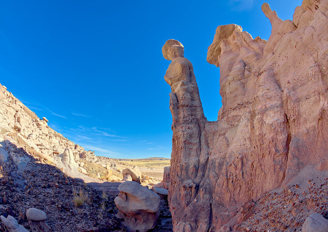 A feminine shaped hoodoo on the north side of the Clam Beds called Queen of Pearls, Petrified Forest, Arizona, United States of America, North America