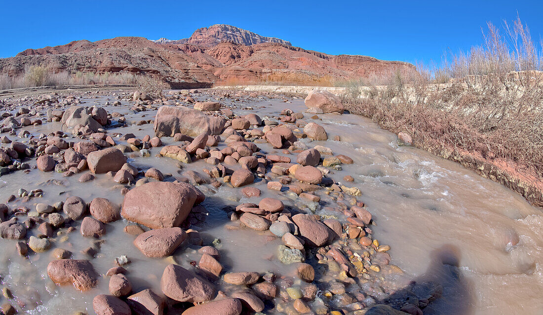 Der Paria River fließt durch den Paria Canyon in der Glen Canyon Recreation Area, Arizona, Vereinigte Staaten von Amerika, Nordamerika