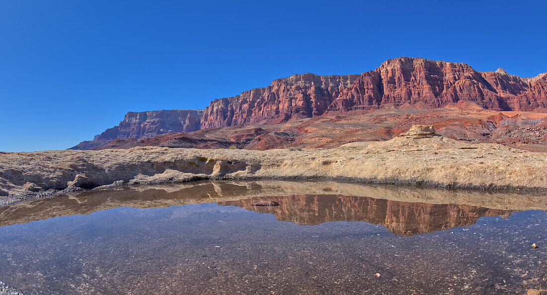 Ein Wasserbecken, in dem sich der Gipfel des Johnson Point unterhalb der Vermilion Cliffs spiegelt, Glen Canyon Recreation Area, Arizona, Vereinigte Staaten von Amerika, Nordamerika