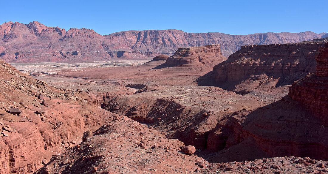 Blick auf eine Felsformation namens Cathedral Rock vom Chocolate Canyon aus, Glen Canyon Recreation Area, Arizona, Vereinigte Staaten von Amerika, Nordamerika