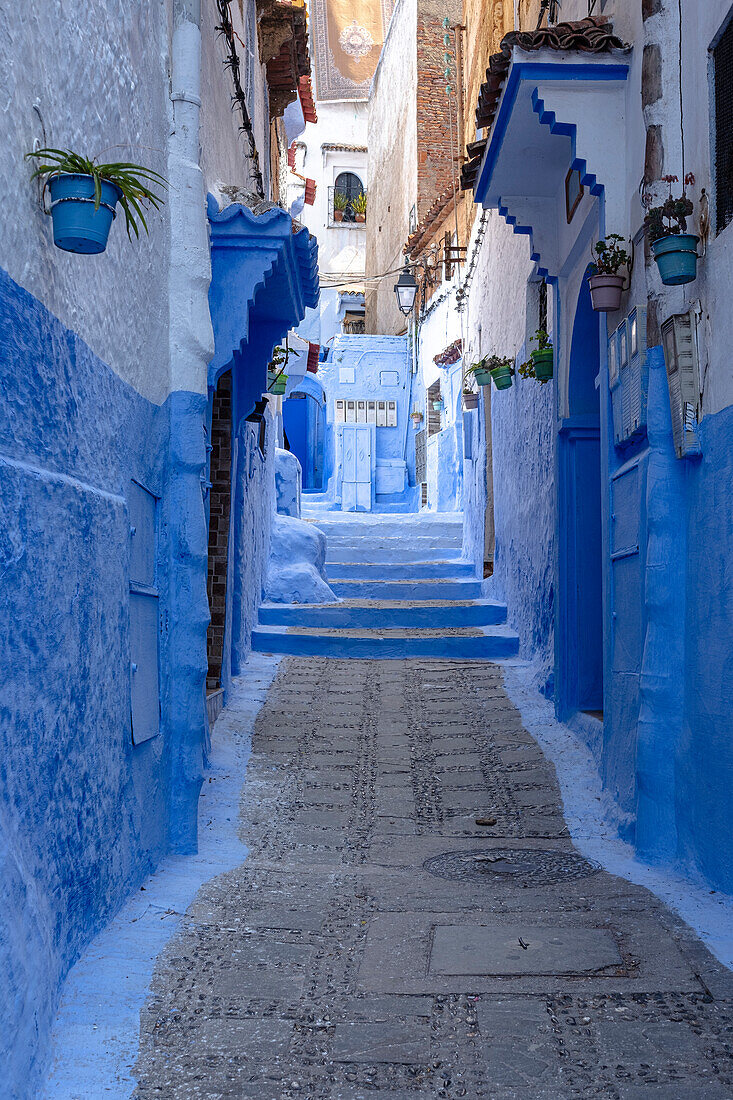 An alley in Chefchaouen, the blue city of Morocco, North Africa, Africa