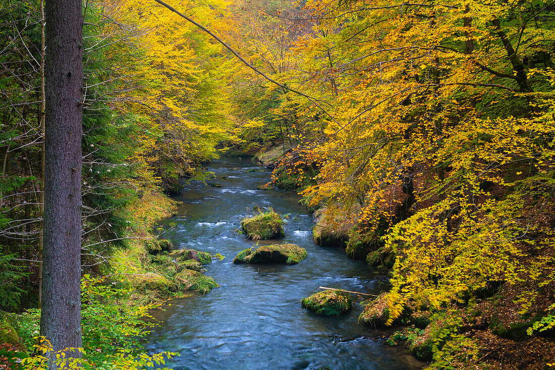 Fluss Kamenice im Herbst, Nationalpark Böhmische Schweiz, Hrensko, Bezirk Decin, Region Usti nad Labem, Tschechische Republik (Tschechien), Europa