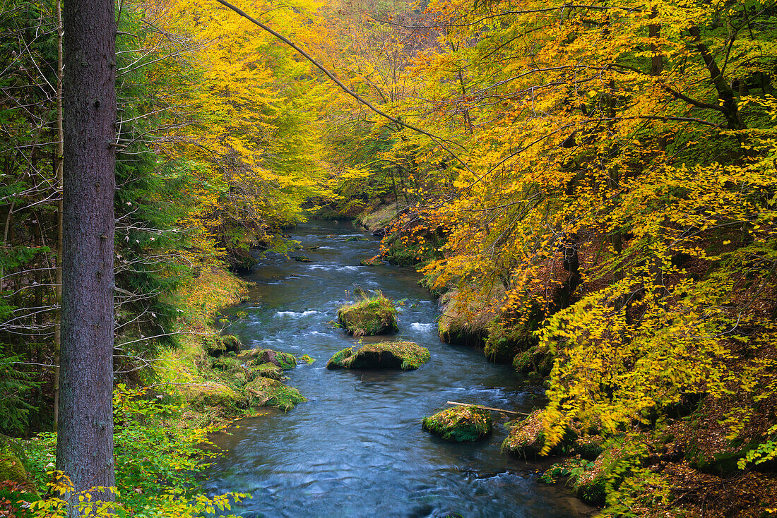 Kamenice River in autumn, Bohemian Switzerland National Park, Hrensko, Decin District, Usti nad Labem Region, Czech Republic (Czechia), Europe