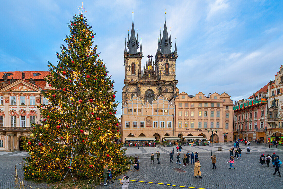 Christmas tree at Old Town Square with Church of Our Lady before Tyn, UNESCO World Heritage Site, Old Town of Prague, Prague, Czech Republic (Czechia), Europe