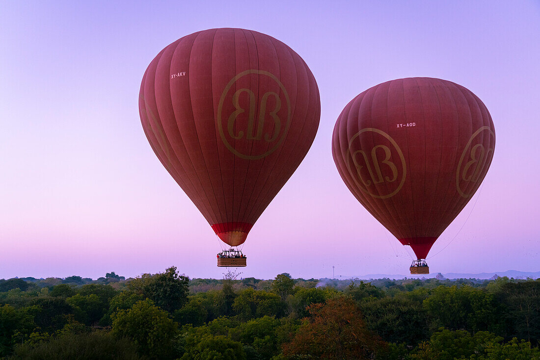 Two hot-air balloons at dawn over Bagan (Pagan), UNESCO World Heritage Site, Myanmar (Burma), Asia
