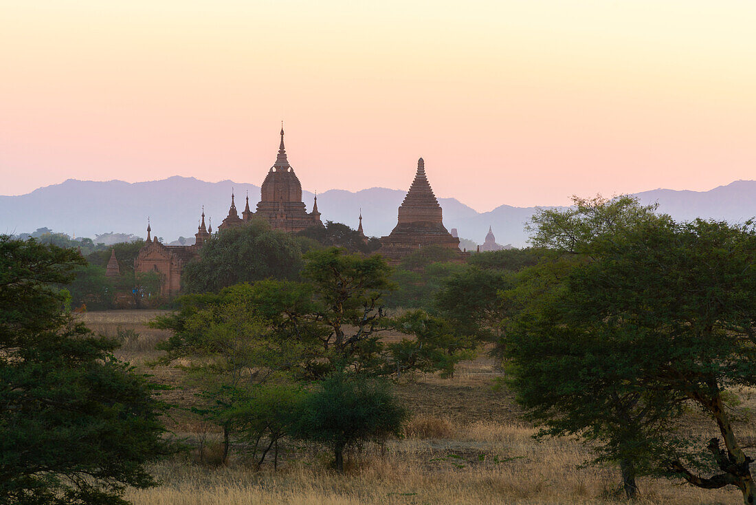Pagodas at dusk, Bagan (Pagan), UNESCO World Heritage Site, Myanmar (Burma), Asia