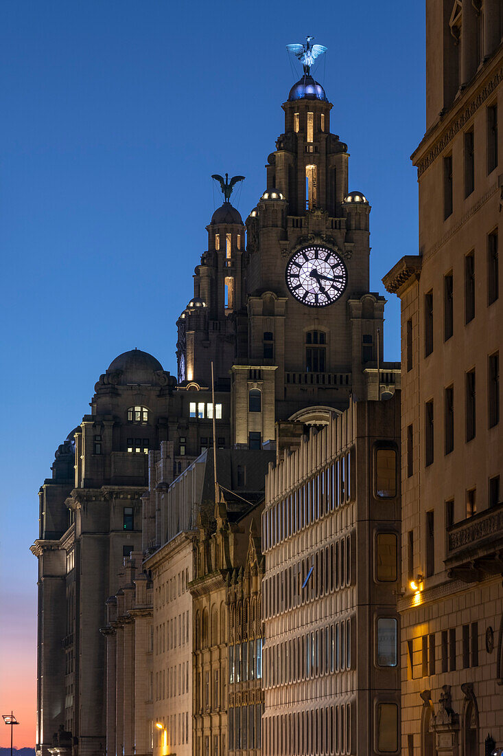 The Liver Building at night, Water Street, Liverpool, Merseyside, England, United Kingdom, Europe