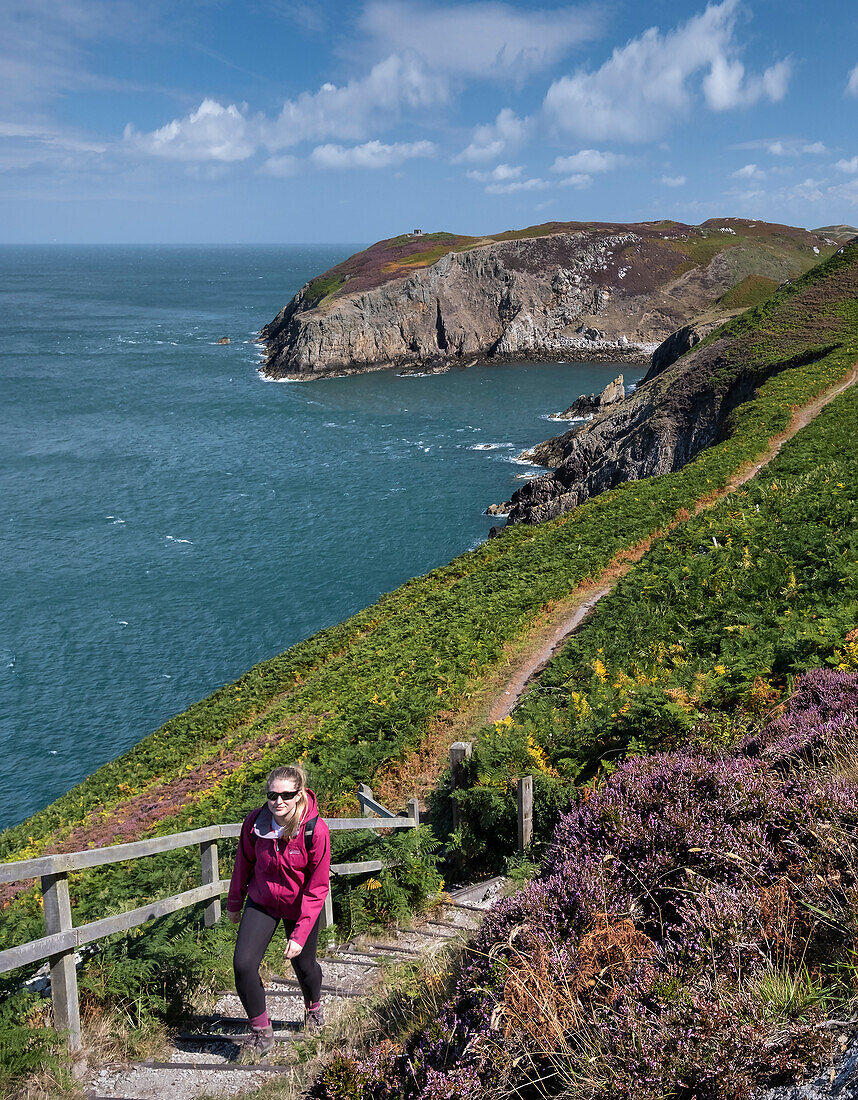 Junge Frau beim Wandern auf dem Anglesey Coast Path im Sommer, in der Nähe von Cemaes, Isle of Anglesey, Nordwales, Wales, Vereinigtes Königreich, Europa