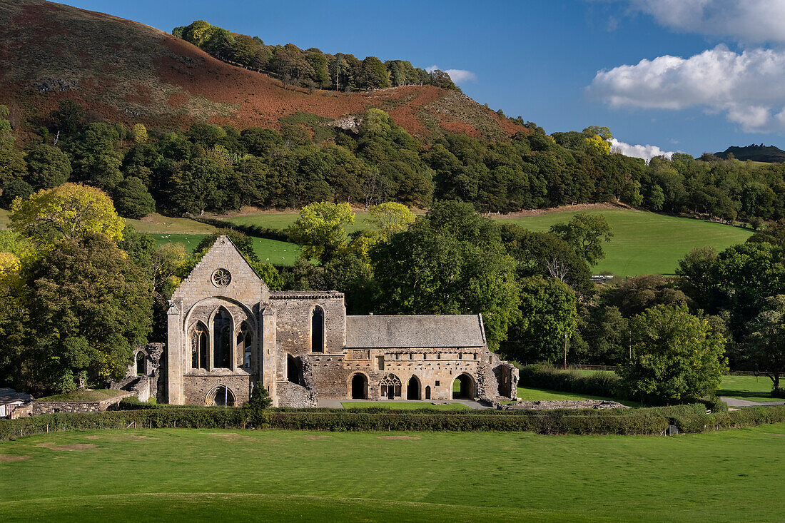 Valle Crucis Abbey im Herbst, bei Llantysilio, Vale of Llangollen, Denbighshire, Nordwales, Vereinigtes Königreich, Europa