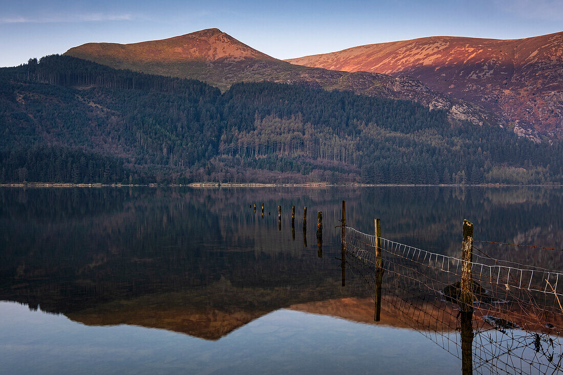 Llyn Cwellyn, the Beddgelert Forest and Y Garn at first light, Snowdonia National Park, Eryri, North Wales, United Kingdom, Europe