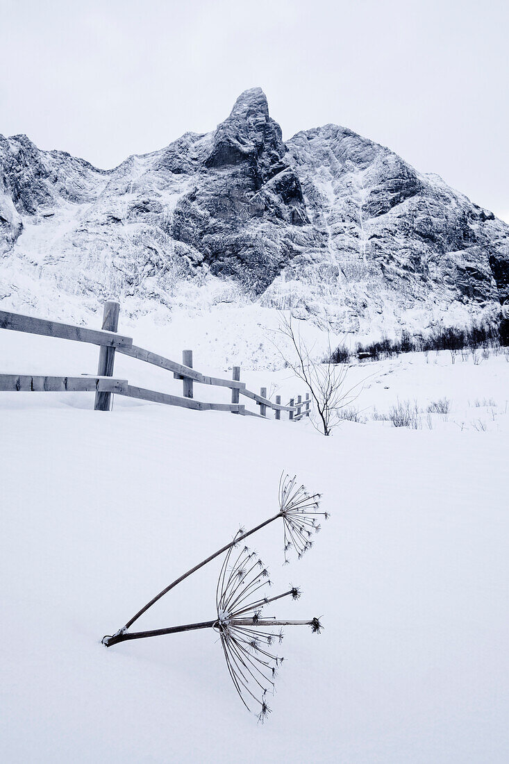 Winterliche Bedingungen an der Ersfjordstranda mit dem Berg Tebbeltuva im Hintergrund, Insel Senja, Provinz Troms og Finnmark, Norwegen, Skandinavien, Europa