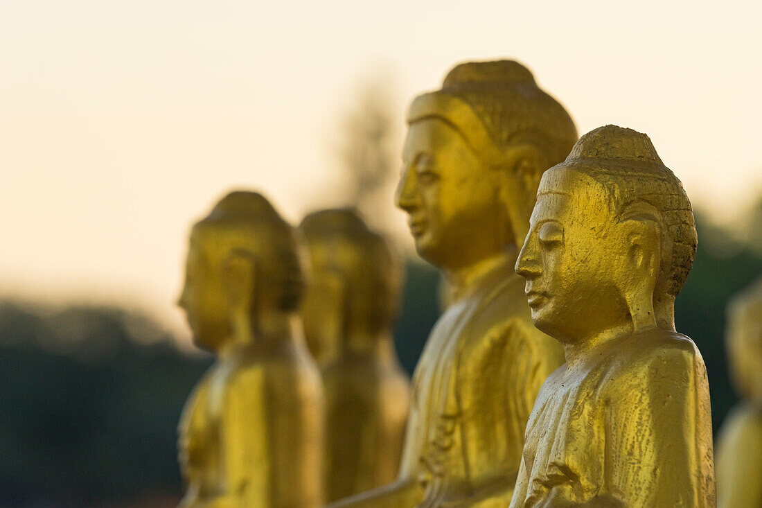 Vergoldete Statuen in der Myo Yar Pyae Pagode, Monywa, Myanmar (Birma), Asien