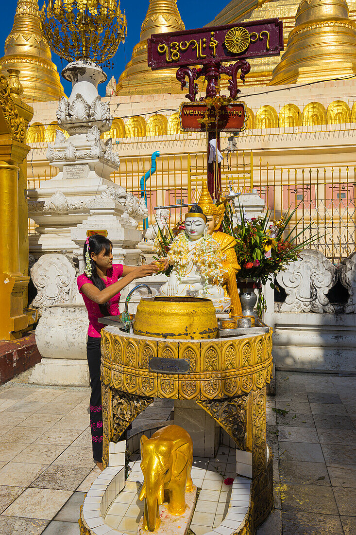 Frau, die Wasser über eine Buddha-Statue gießt, um Glück zu bringen, Shwedagon-Pagode, Yangon, Myanmar (Birma), Asien