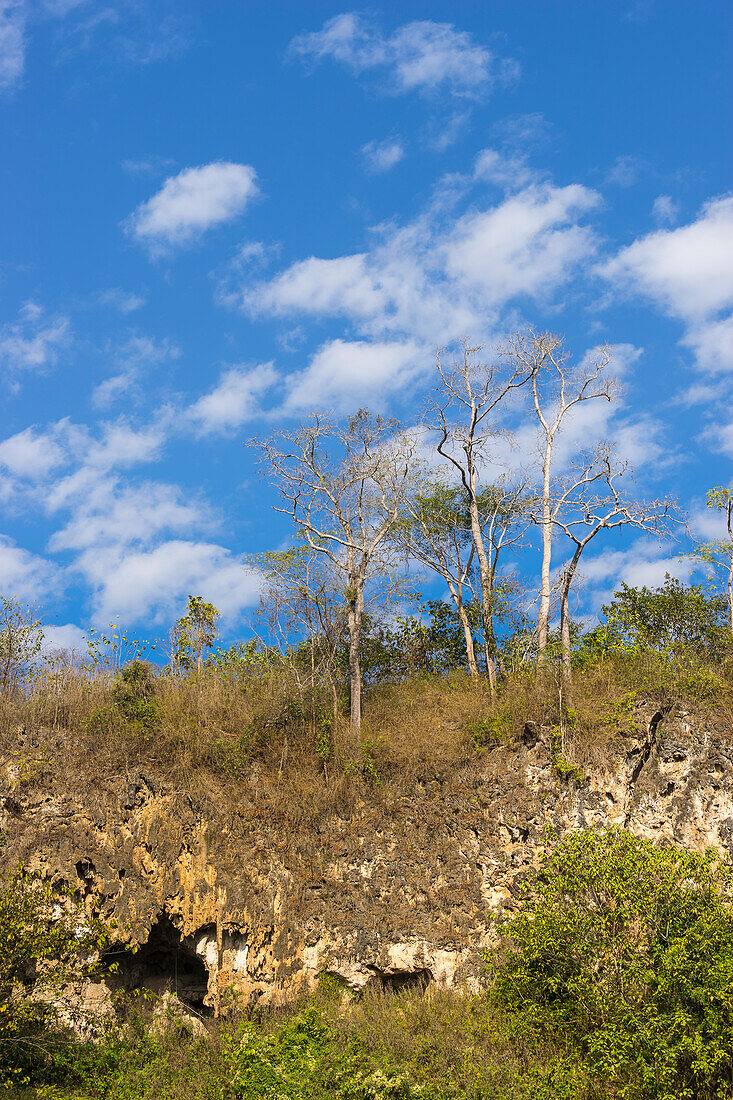 Kalksteinfelsen und Bäume in der Landschaft bei Hsipaw, Shan-Staat, Myanmar (Birma), Asien