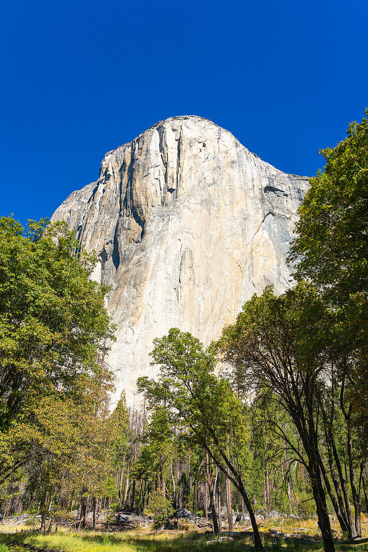 El Capitan granite rock formation, Yosemite National Park, UNESCO World Heritage Site, California, United States of America, North America
