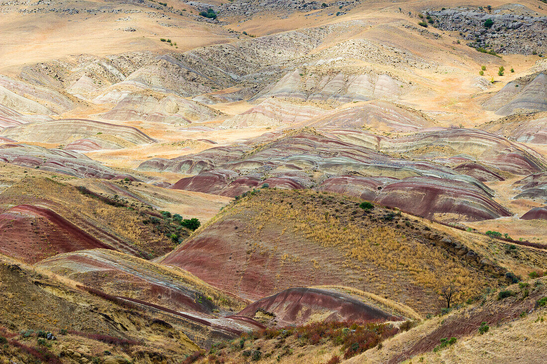 Farbenprächtige Landschaft in der Nähe des David-Gareji-Komplexes, Georgien, Zentralasien, Asien