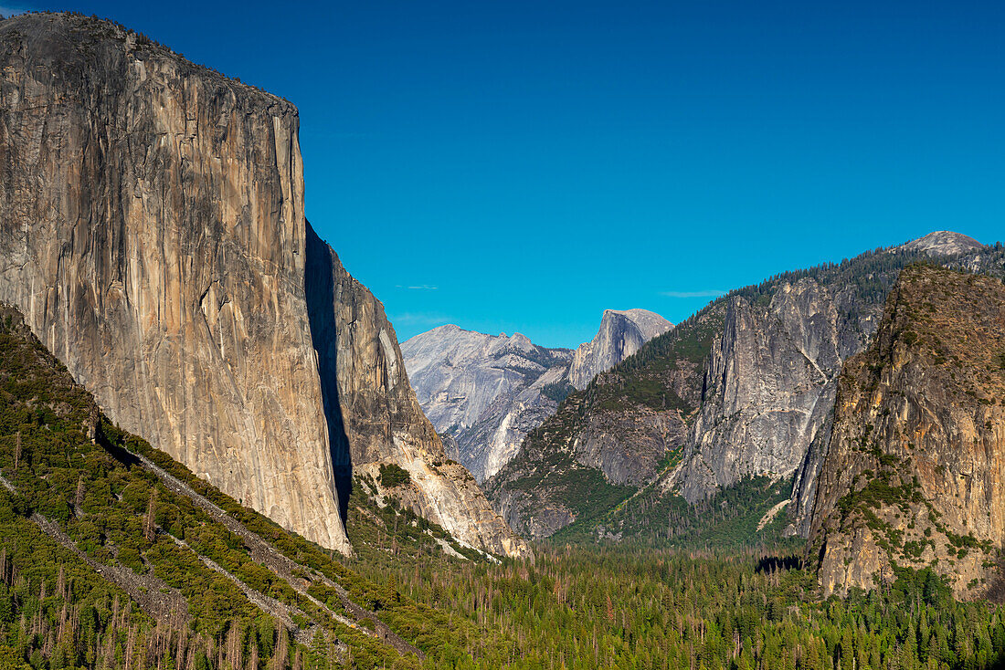 Beliebter Tunnelblick auf das Yosemite Valley, die Granitfelsen El Capitan und Half Dome, Yosemite-Nationalpark, UNESCO-Welterbe, Kalifornien, Vereinigte Staaten von Amerika, Nordamerika