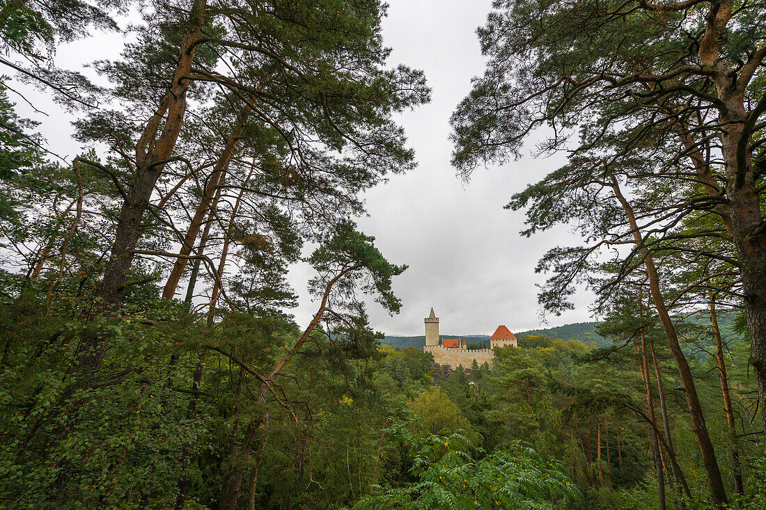 Burg Kokorin, Landschaftsschutzgebiet Kokorinsko, Mittelböhmen, Tschechische Republik (Tschechische Republik), Europa