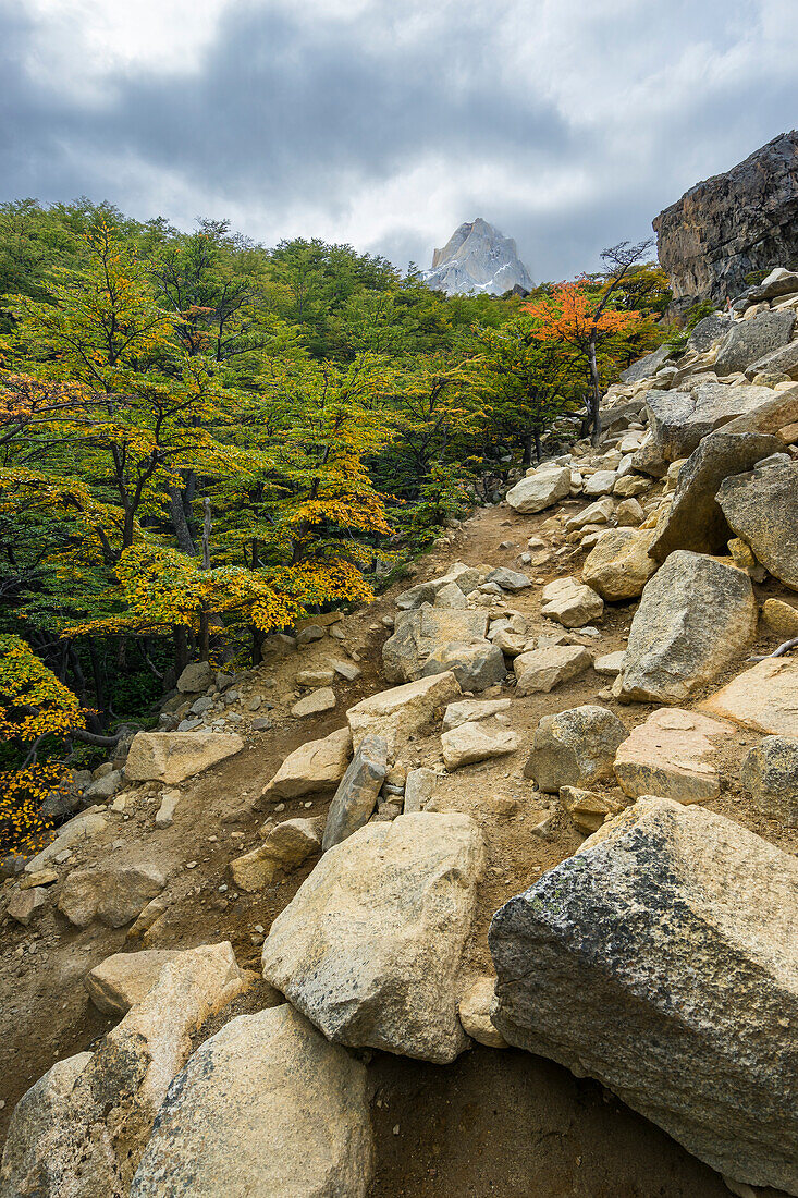 Hiking path leading to Britanico viewpoint, French Valley, Torres del Paine National Park, Patagonia, Chile, South America